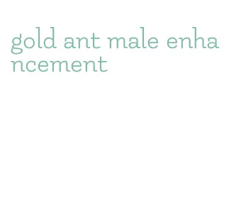 gold ant male enhancement