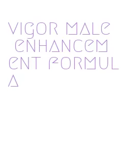 vigor male enhancement formula