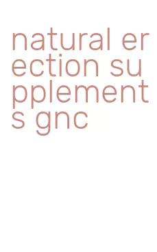 natural erection supplements gnc