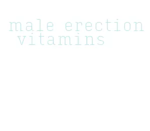 male erection vitamins