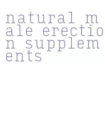 natural male erection supplements