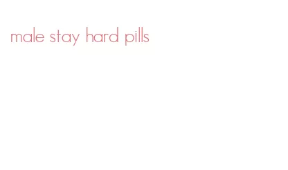 male stay hard pills