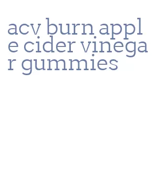 acv burn apple cider vinegar gummies