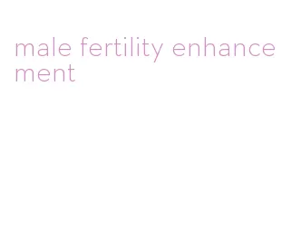 male fertility enhancement