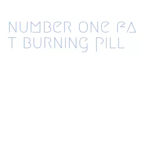 number one fat burning pill