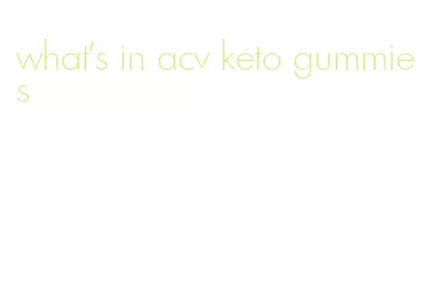 what's in acv keto gummies