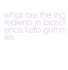 what are the ingredients in bioscience keto gummies