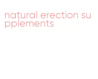 natural erection supplements