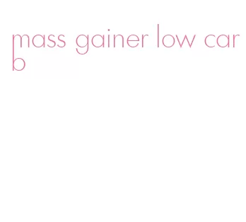mass gainer low carb