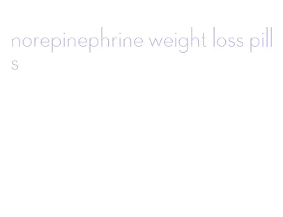 norepinephrine weight loss pills