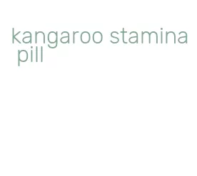 kangaroo stamina pill