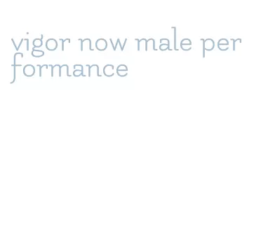 vigor now male performance