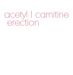 acetyl l carnitine erection