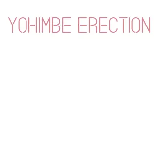 yohimbe erection