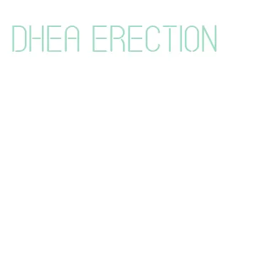 dhea erection