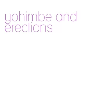 yohimbe and erections