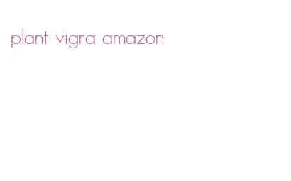 plant vigra amazon