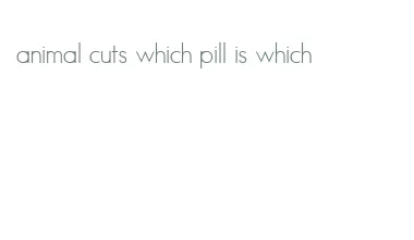 animal cuts which pill is which