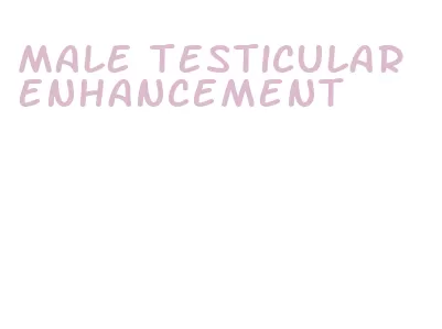 male testicular enhancement