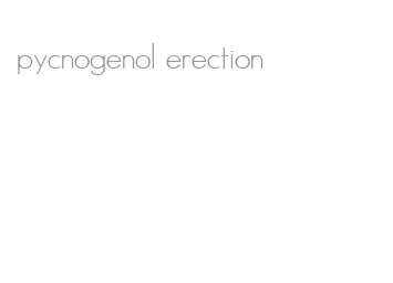 pycnogenol erection