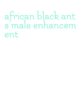 african black ants male enhancement