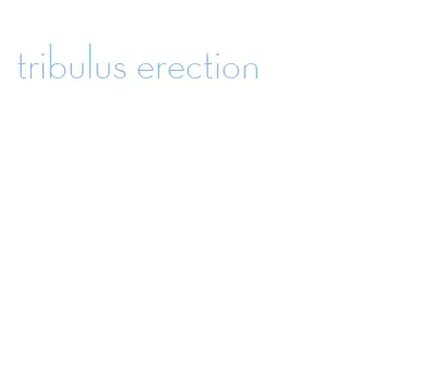 tribulus erection