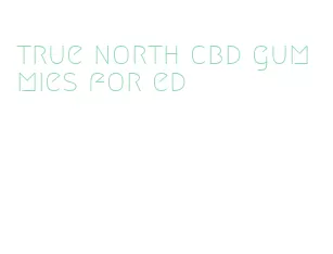 true north cbd gummies for ed