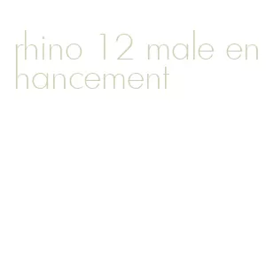 rhino 12 male enhancement