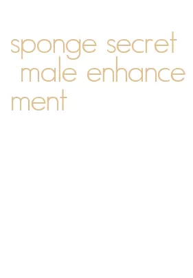 sponge secret male enhancement