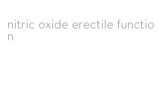 nitric oxide erectile function