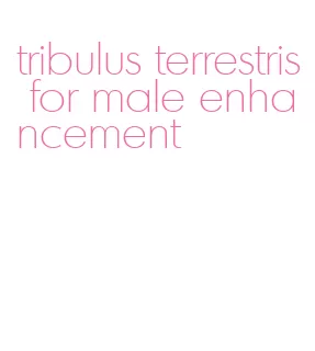 tribulus terrestris for male enhancement