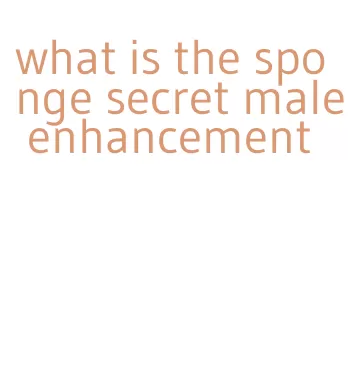 what is the sponge secret male enhancement