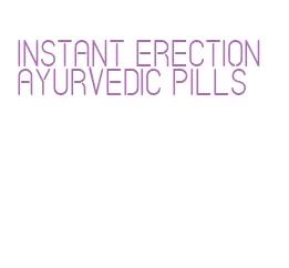 instant erection ayurvedic pills