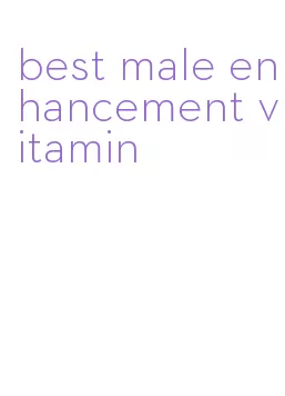 best male enhancement vitamin