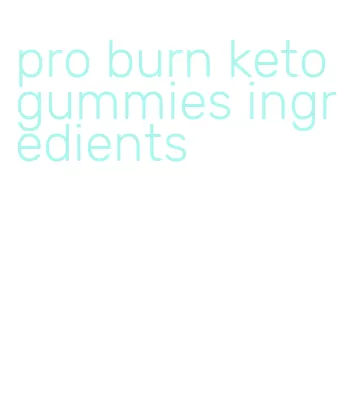pro burn keto gummies ingredients