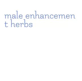 male enhancement herbs