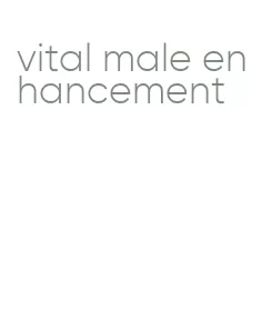 vital male enhancement