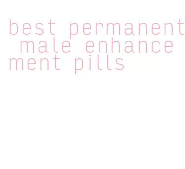 best permanent male enhancement pills