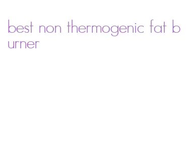 best non thermogenic fat burner