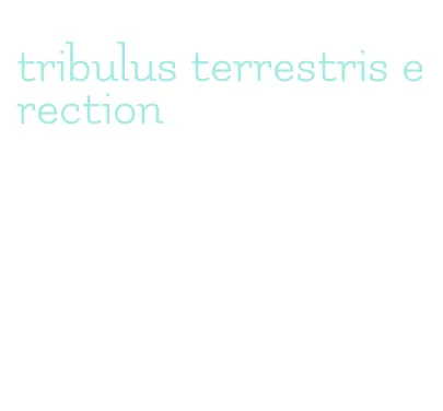 tribulus terrestris erection