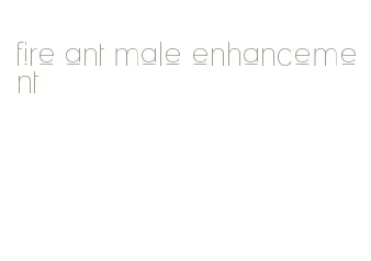 fire ant male enhancement