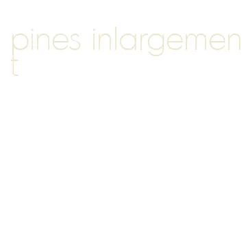 pines inlargement