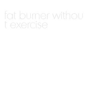 fat burner without exercise