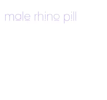 male rhino pill